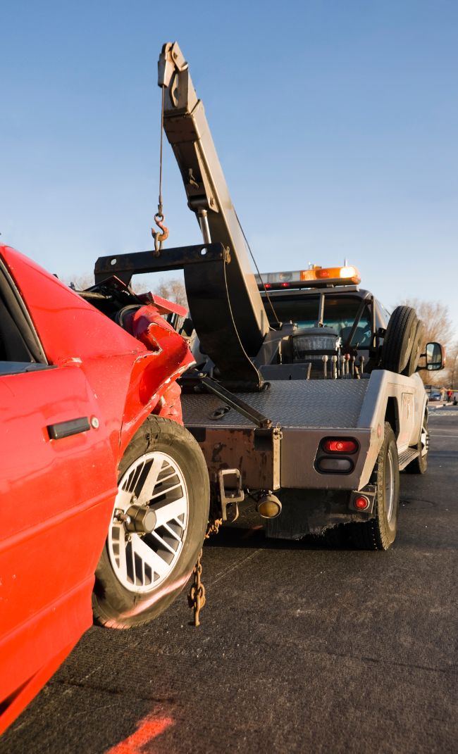 guincho em Campos dos Goytacazes